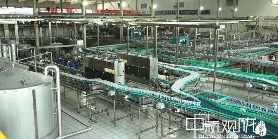  电竞规则持续优化，公平竞赛环境获赞