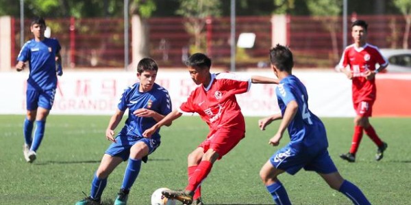  青训体系成果初现，本土新秀闪耀赛场